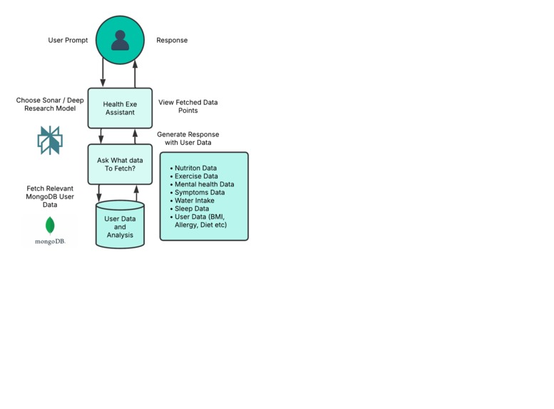 Health exe - Where Perplexity Meets Health – screenshot 2