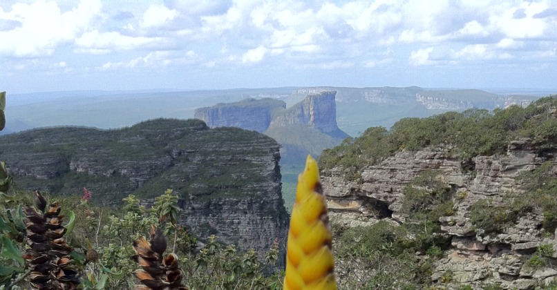 Map of Old Diamond Rush – screenshot 5