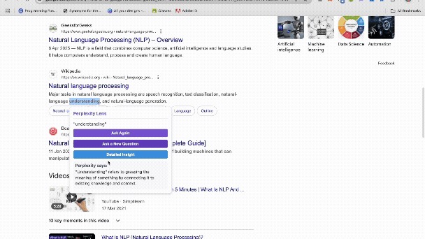 Perplexity Lens – screenshot 1