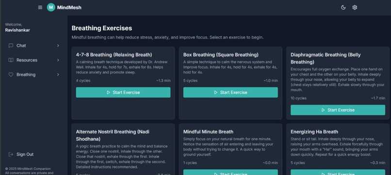 MindMesh – screenshot 4