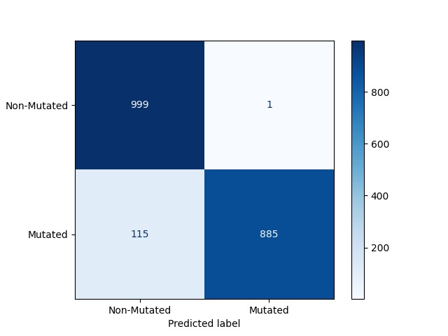 DSPDiagnosis: ML-driven Website for DSPD Diagnosis – screenshot 4