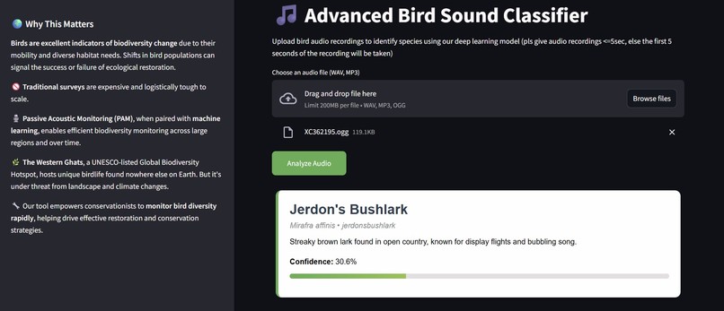 BioSound – screenshot 2