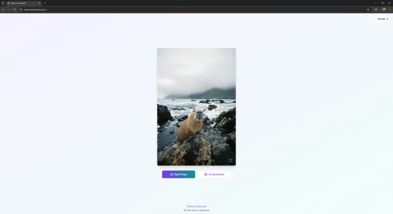 Real or Rendered – screenshot 2