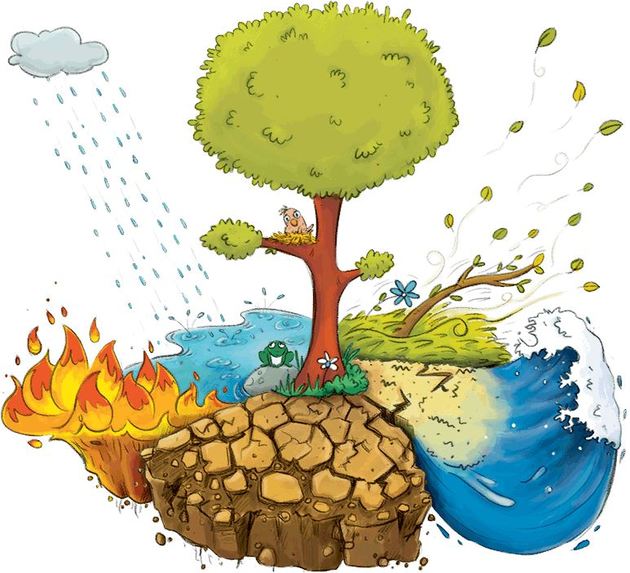 Disaster Management – screenshot 1