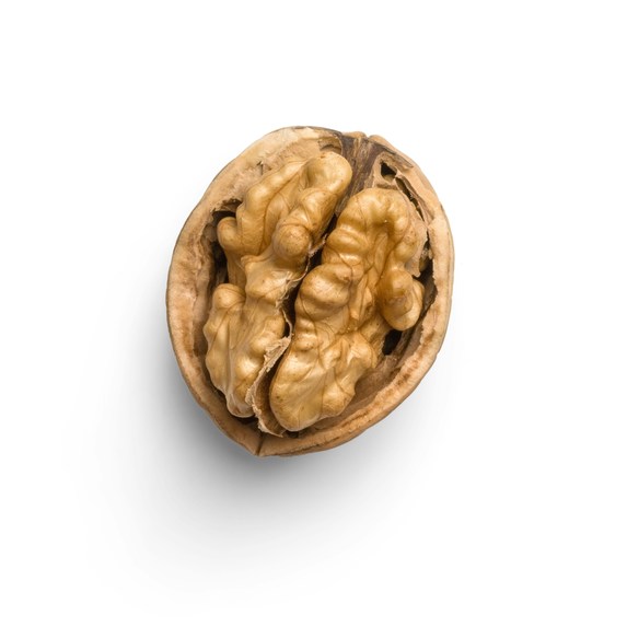 Ayoob Nuts – screenshot 3