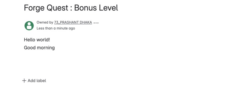 Forge Quest: Bonus Level – screenshot 1