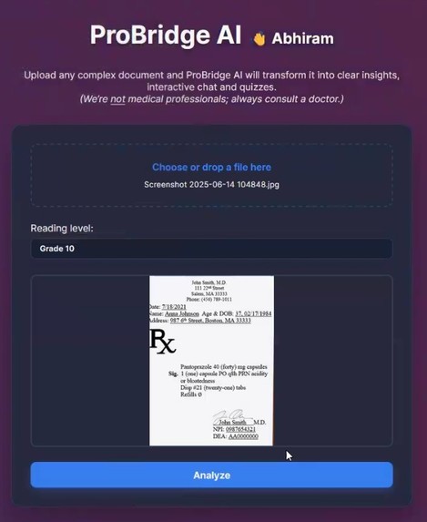 ProBridge AI – screenshot 1