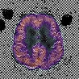 MediScan AI – screenshot 1