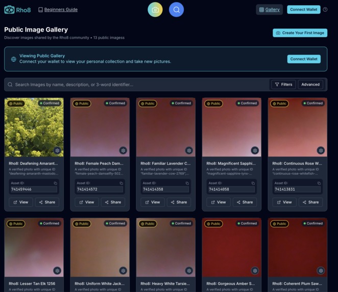 Rho8 – The Truth Layer for Digital Images – screenshot 6