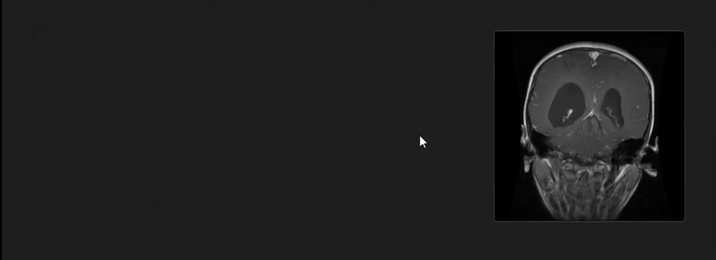Hospital Copilot – screenshot 2