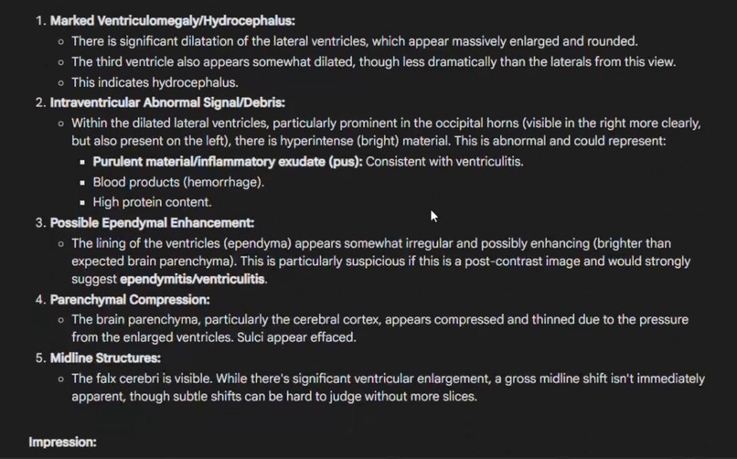 Hospital Copilot – screenshot 3