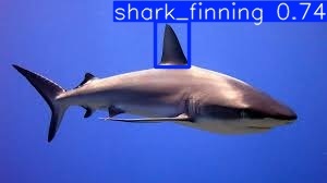 FinShield – screenshot 1