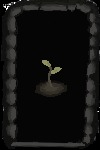 Sprout – screenshot 4