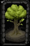 Sprout – screenshot 5