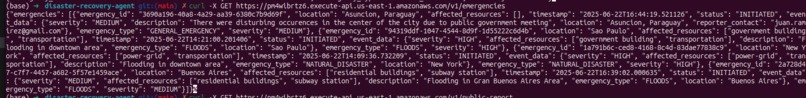 Disaster Recovery Agent: Emergency Response System – screenshot 3