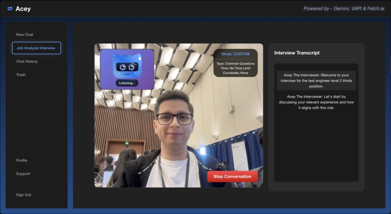 Acey The Interviewer – screenshot 4