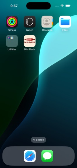 DishDash – screenshot 1