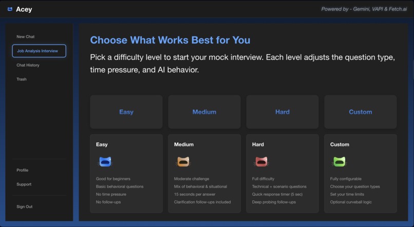 Acey The Interviewer – screenshot 1