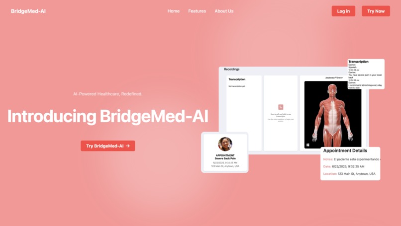 BridgeMed-AI – screenshot 1