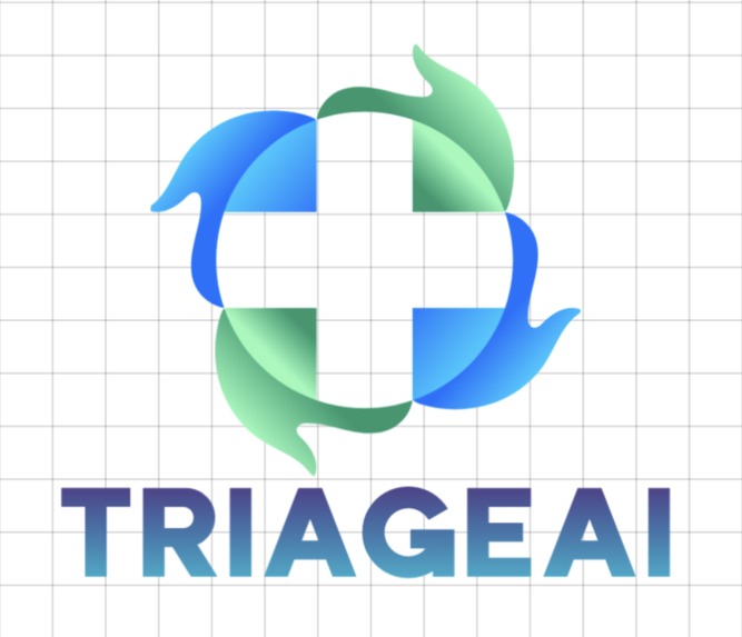 TriageAI – screenshot 2
