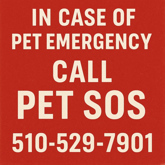 PETSOS – screenshot 1