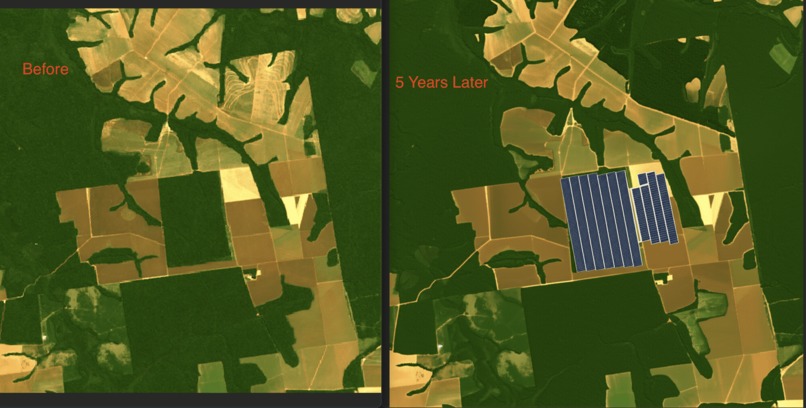 EcoSim – screenshot 1