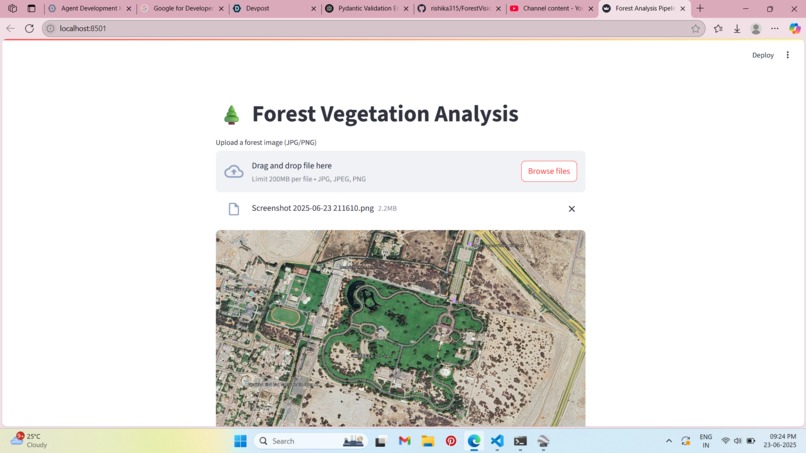 ForestVision: AI-Powered Vegetation Analysis Pipeline – screenshot 3
