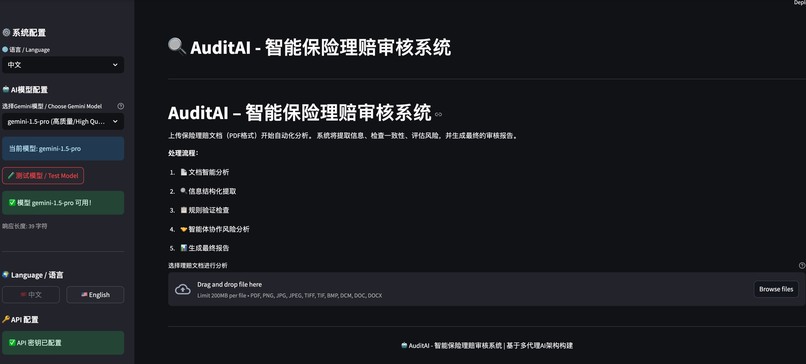 AuditAI : Insurance Claims Assistance – screenshot 2