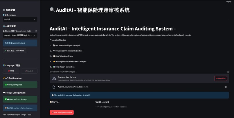 AuditAI : Insurance Claims Assistance – screenshot 3