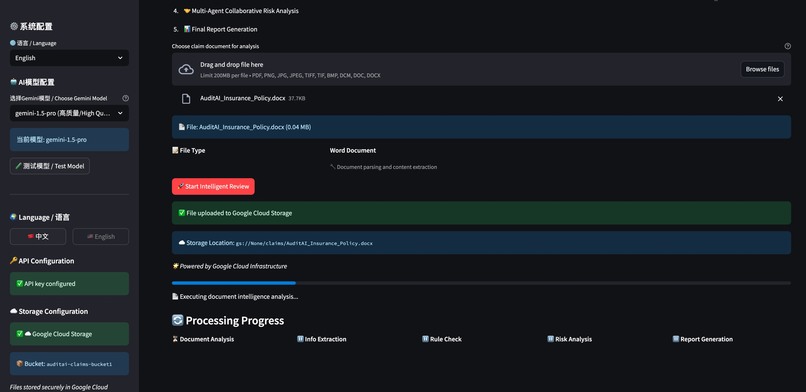 AuditAI : Insurance Claims Assistance – screenshot 7