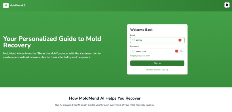 MoldMend – screenshot 1