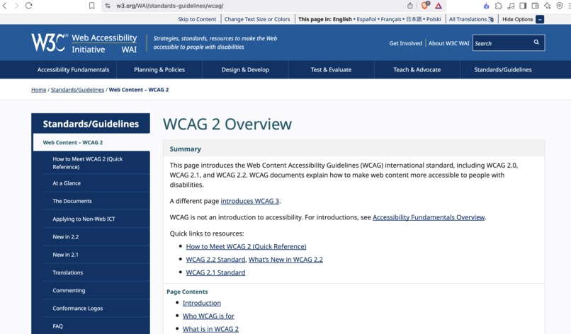AI Accessibility Advocate Assistant – screenshot 2
