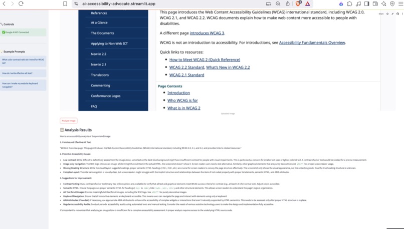 AI Accessibility Advocate Assistant – screenshot 4