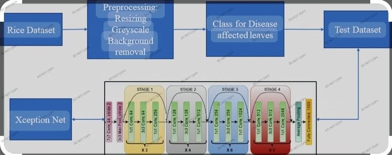 Rice plant disease classification prediction  – screenshot 3