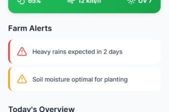 Precision Agriculture Platform