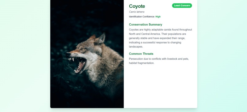Wildlife Species Recognition and Conservation Assistant – screenshot 1