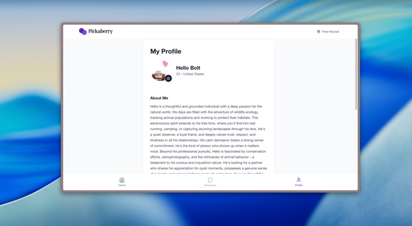 Pickaberry - Meet one person at a time – screenshot 4