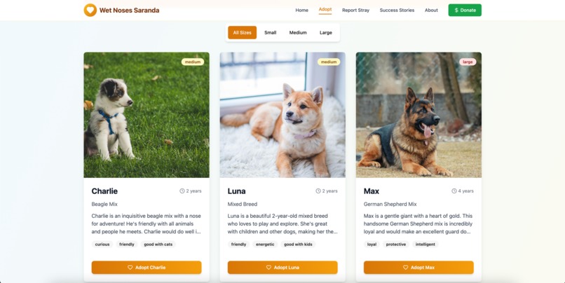 Wet noses Saranda – screenshot 6