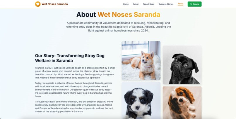 Wet noses Saranda – screenshot 10
