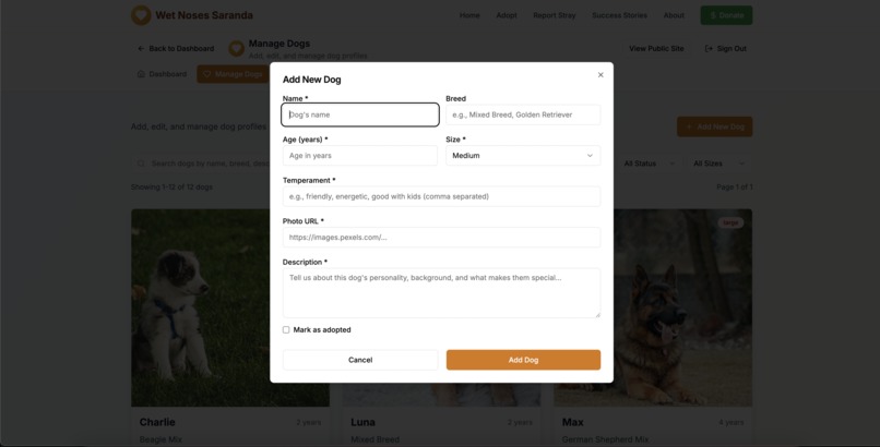 Wet noses Saranda – screenshot 13