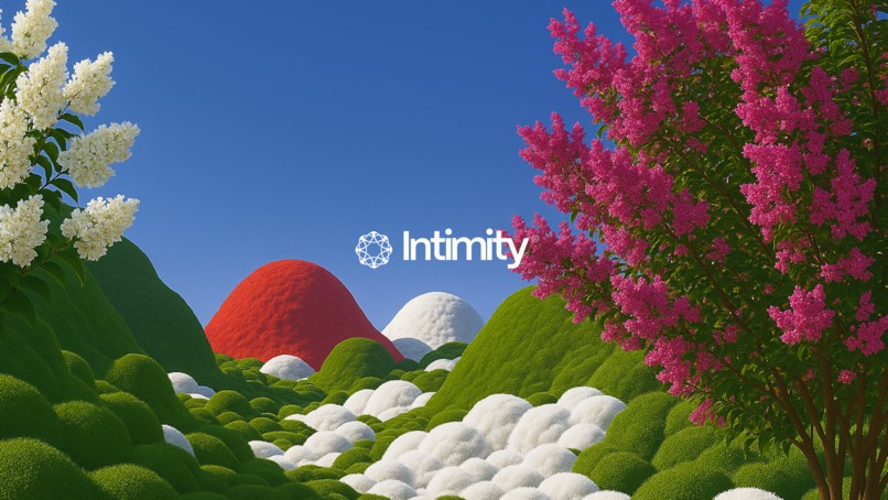 Intimity – screenshot 1