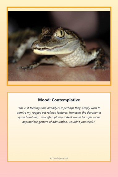 Pet Mood Translator – screenshot 8