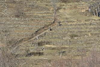 Murmures de pierres
