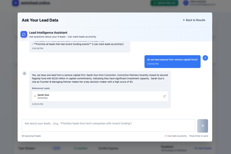 enriched.online - AI Enrichment and Lead Qualification – screenshot 5