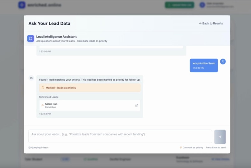 enriched.online - AI Enrichment and Lead Qualification – screenshot 6