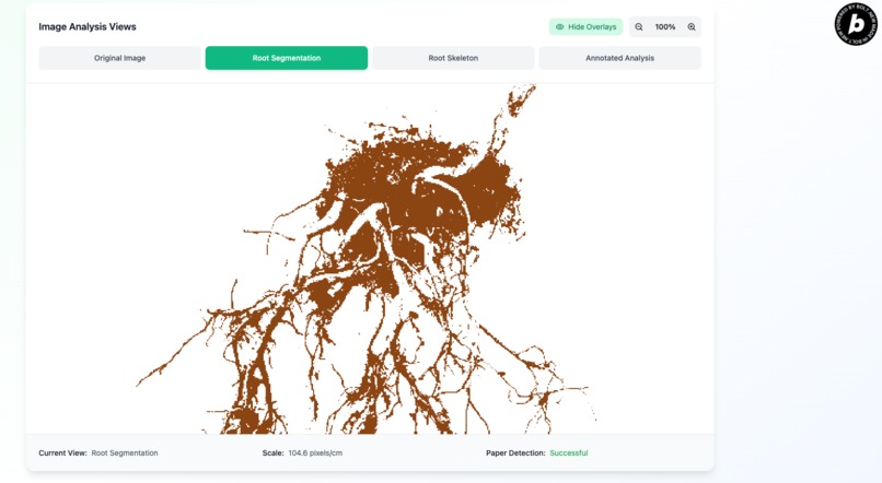 RhizoScan – screenshot 4