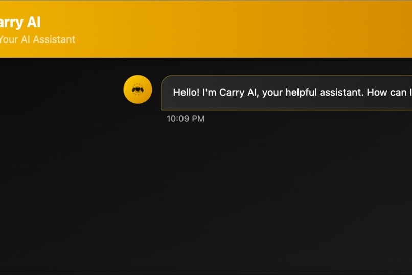 Carry AI – screenshot 2