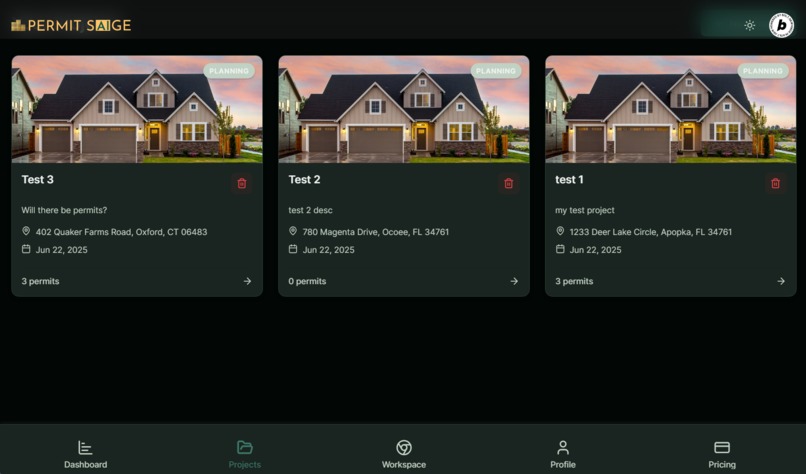 Permit Saige – screenshot 5