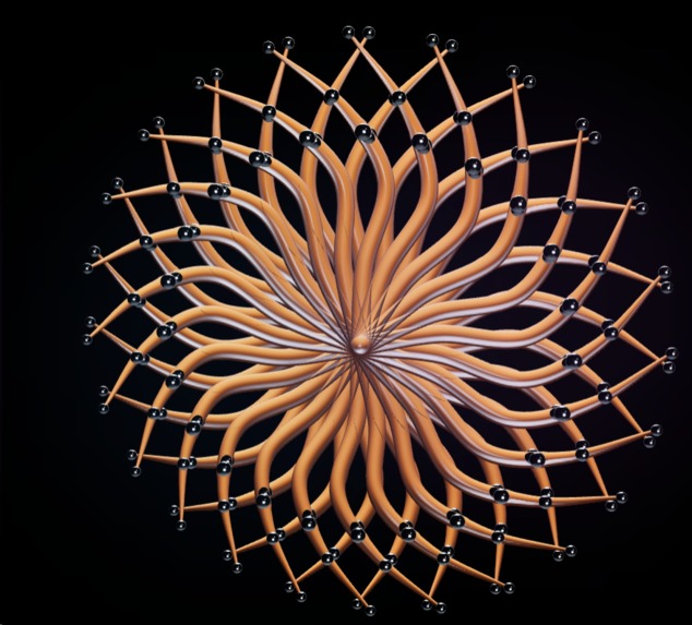 Mandala Math – screenshot 2