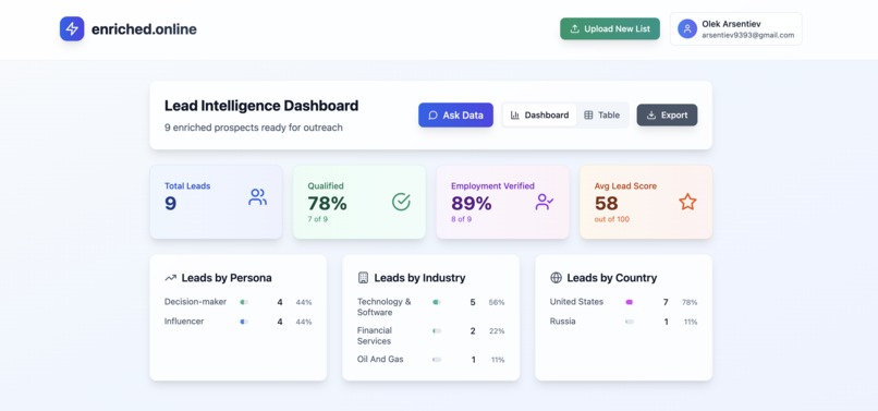 enriched.online - AI Enrichment and Lead Qualification – screenshot 2